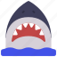 shark, animal, kingdom, mammal, ocean 