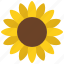 sunflower, flower, plant, plants, growth 
