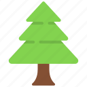 triangle, shaped, tree, forest, plant
