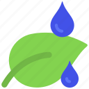 water, droplets, on, leaf, drop