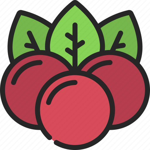 Berries, food, fruit, healthy, diet icon - Download on Iconfinder