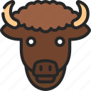 bison, animal, kingdom, mammal, zoo