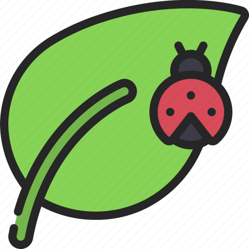Bug, on, leaf, insect, nature icon - Download on Iconfinder