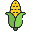corn, cob, cornfield, food, fruit