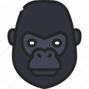 gorilla, animal, kingdom, mammal, zoo