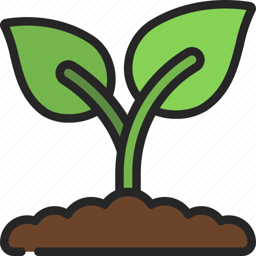 Plant, growth, grow, nature, garden icon - Download on Iconfinder