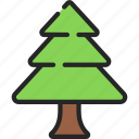triangle, shaped, tree, forest, plant