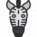 zebra, animal, kingdom, mammal, zoo
