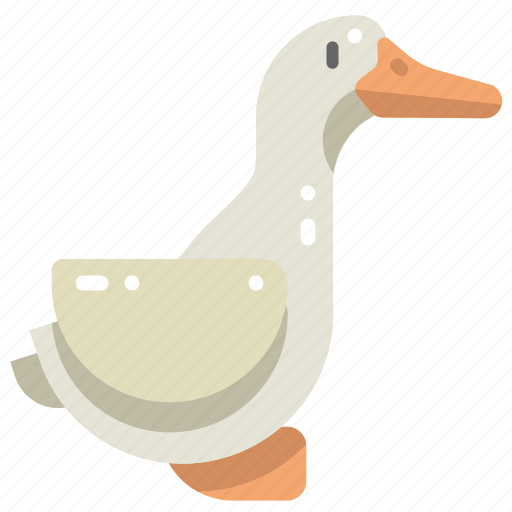 Animal, animals, bird, duck, nature, wildlife, zoo icon - Download on Iconfinder