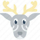 animal, deer, pet, wild