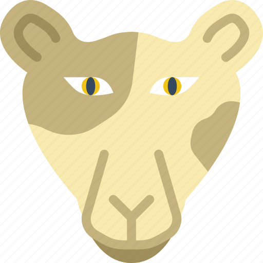 Animal, leopard, pet, wild icon - Download on Iconfinder
