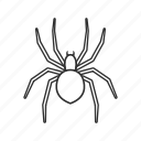 arachnids, arthropods, eight legged, spider, venomous, emoji