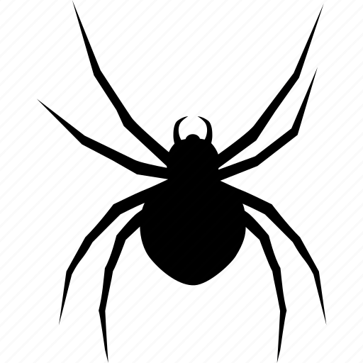 Arachnid, black, bug, halloween, spider, tarantula, widow icon - Download on Iconfinder