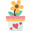 flower, pot, blossom, houseplant, nature