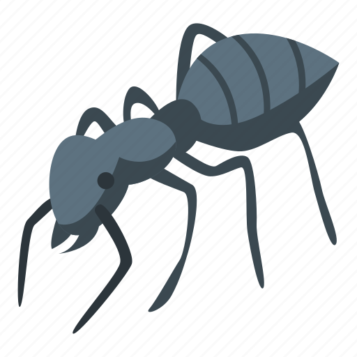 Forest, ant, isometric icon - Download on Iconfinder