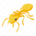 yellow, ant, isometric