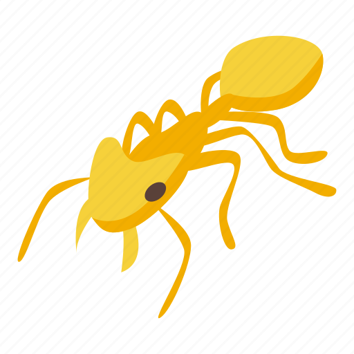 Yellow, ant, isometric icon - Download on Iconfinder