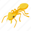 yellow, ant, isometric 