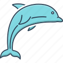 bio sonar, bottle nose, cetacean, dolphin, dorsal, flipper, underwater