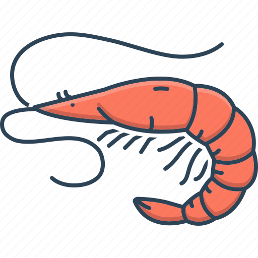 Appetizer, bizarre, delicacy, fish, food, prawn, shrimp icon - Download on Iconfinder