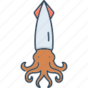 atlantic, calamari, calamary, cuttlefish, scorcher, squid, vitriol