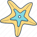 aquatic, asteroidea, echinoder, five finger, mollusk, star fish, starfish
