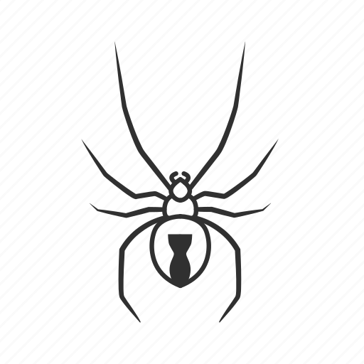 Arachnid, black widow, poisonous spider, spider, bug, deadly spider, latrodectus icon - Download on Iconfinder