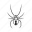arachnid, black widow, poisonous spider, spider, bug, deadly spider, latrodectus 