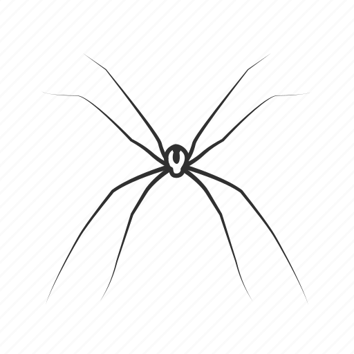 Arachnid, daddy long legs, spider, harvestmen, opiliones, small spider icon - Download on Iconfinder