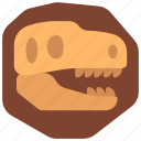 t, rex, skull, fossil, fossils