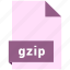 archive file format, document, extension, file format, gzip 