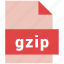 file format, filetypes, gz, gzip 