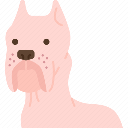 Dog, dogo, argentino, pet, animal icon - Download on Iconfinder