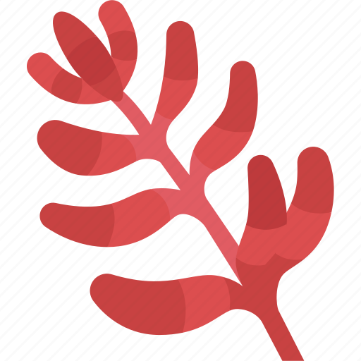 Erythrina, tree, plant, botanical, argentina icon - Download on Iconfinder