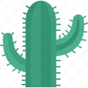 cactus, succulent, plant, desert, botanical