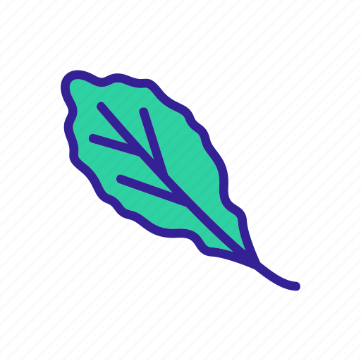 Arugula, garden, greenhouse, leaf, organic, plant, rucola icon - Download on Iconfinder