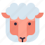 animal, cute, sheep 