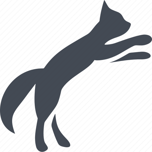 Cats, cat, pet, animal, bounce icon - Download on Iconfinder
