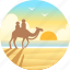 australia, beach, broome, cable beach, camel, tourism 