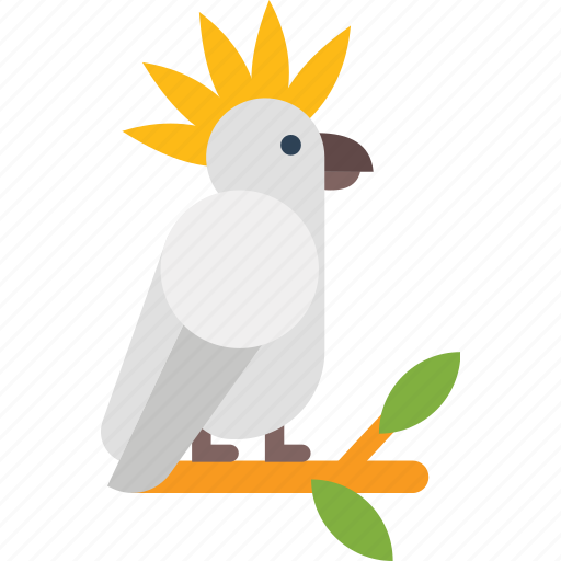 Australia, bird, cockatoo icon - Download on Iconfinder