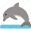 animal, australia, dolphin 