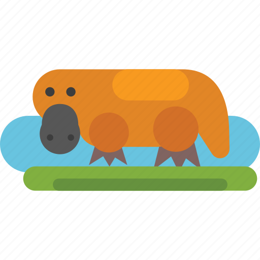 Animal, australia, platypus icon - Download on Iconfinder