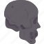 skull, head, human, body, xray 