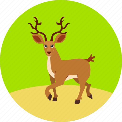 Deer, animal, christmas, forest, autumn, ecology, nature icon - Download on Iconfinder