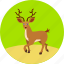 deer, animal, christmas, forest, autumn, ecology, nature 