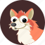 fox, animal, forest, fur, wild, red fox, sly fox 