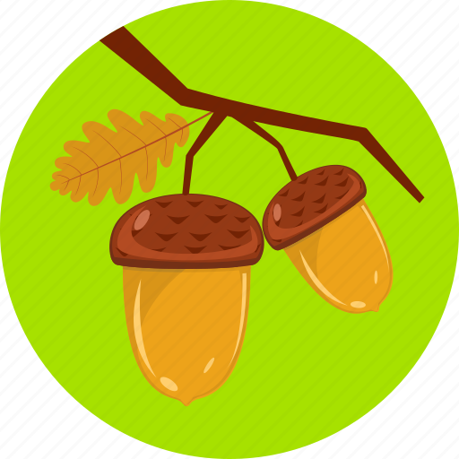Branch, hazels, acorn, autumn, clubs, nature, tree icon - Download on Iconfinder
