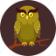 owl, camouflage, moon, scary, howlet, spooky 