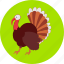 peacock, bird, colored, peafowl, autumn, poultry, turkey 