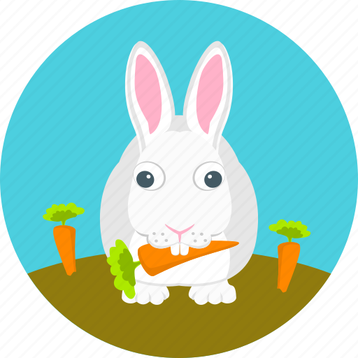 Rabbit, bunny, animal, autumn, carrots, garden, rabbit eating carrots icon  - Download on Iconfinder